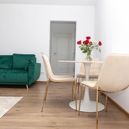Enescu 3 City Center Flat Temešvár Exteriér fotografie